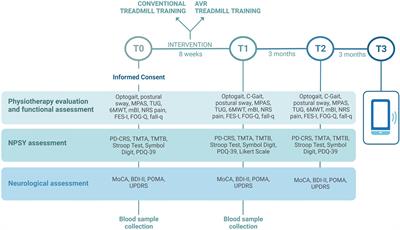 Comparing the effects of augmented virtual reality treadmill training versus conventional treadmill training in patients with stage II-III Parkinson’s disease: the VIRTREAD-PD randomized controlled trial protocol